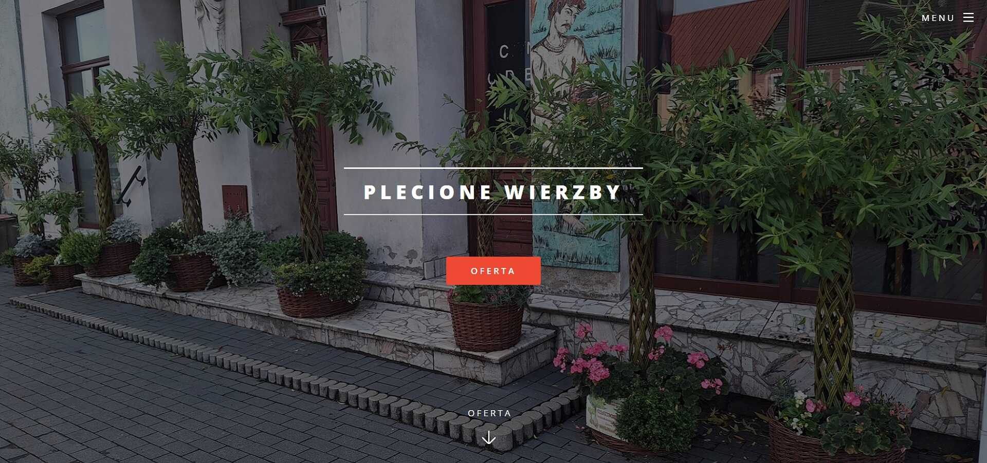 plecionewierzby.pl